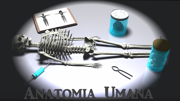 ANATOMIA UMANA